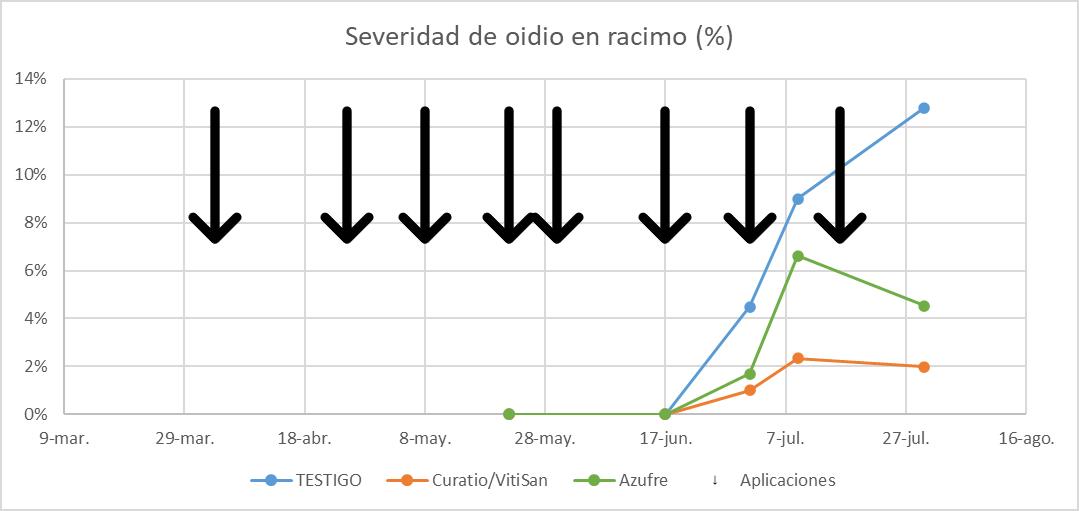 GRAFICO 2