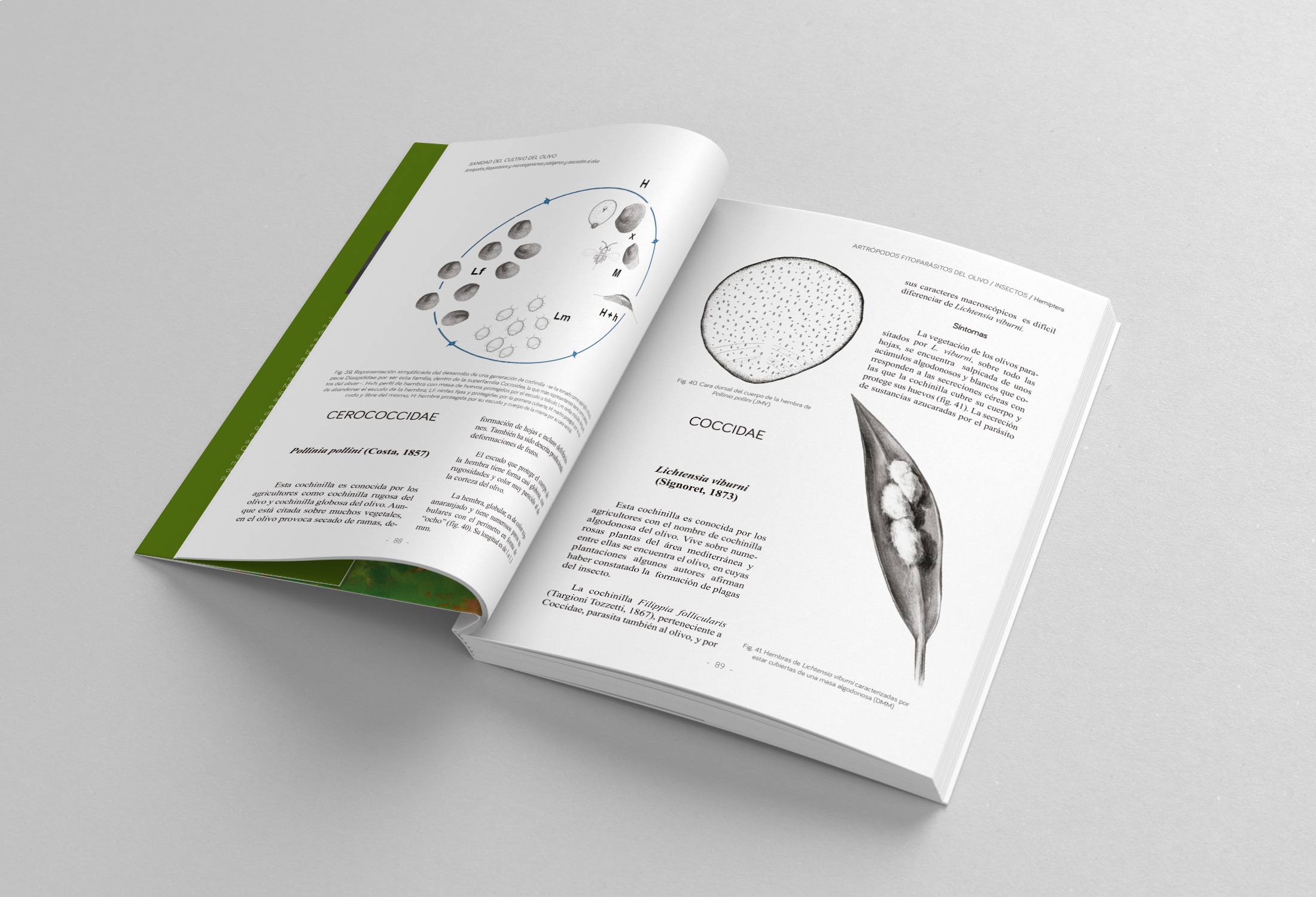 libro01