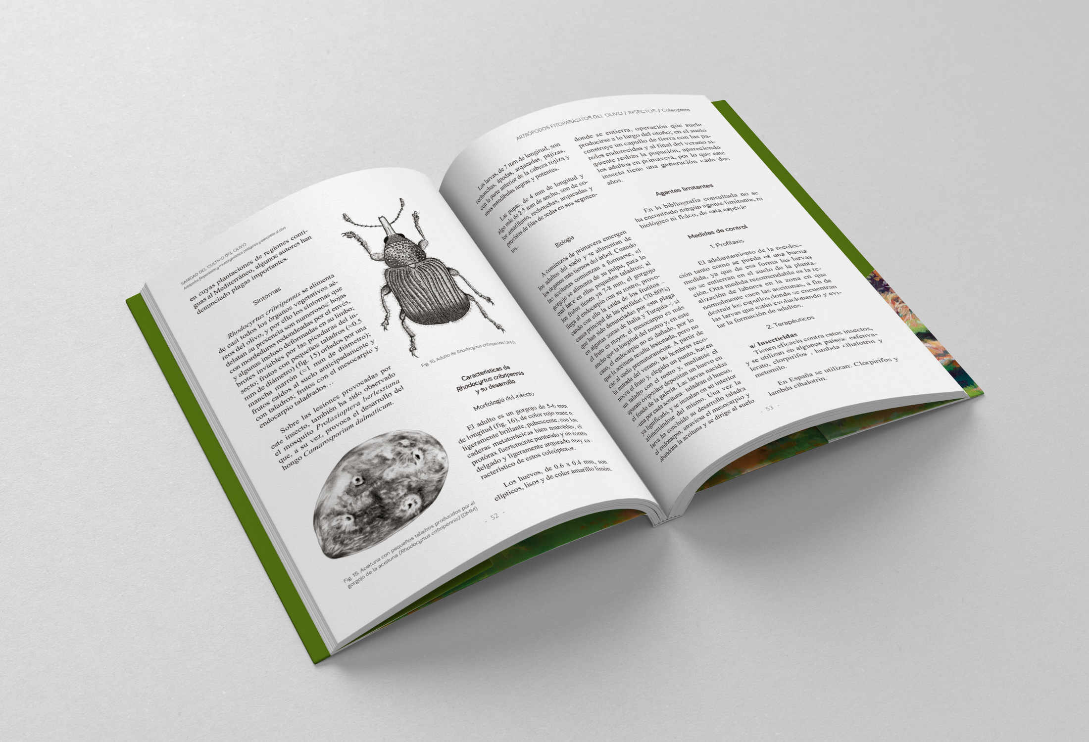 libro05