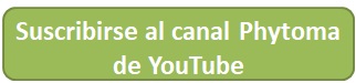 Boton suscribirse canal youtube