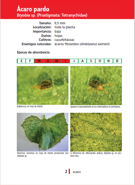 PAGINA 2 ACARO PARDO