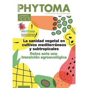 portadilla_333_255